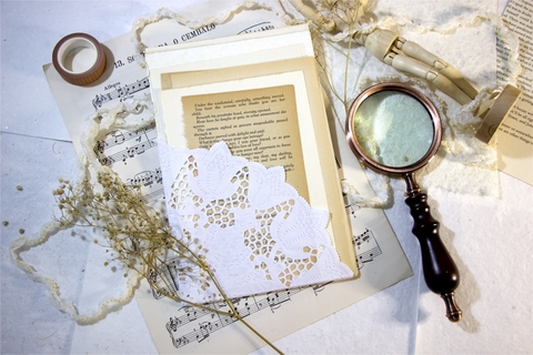 Páginas de Livros | Vintage (15pçs)