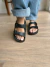 Begonia eva Negro - comprar online