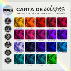 Tintura Fantasía 1 LT - Euforia Colores