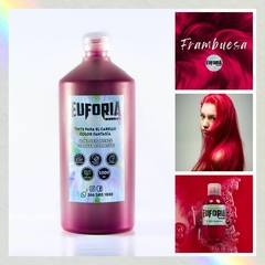 Tintura Fantasía 1 LT - Euforia Colores
