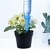 Kit Gotejador C/ Regulagem 5 unidades - Kit Irrigador P/ Plantas - loja online