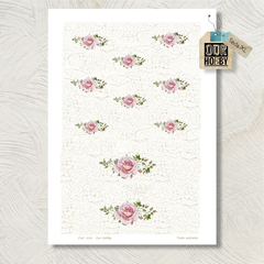 Papel de seda XL (50x70) 228