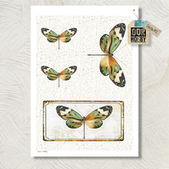 Papel de seda XL (50x70) 231