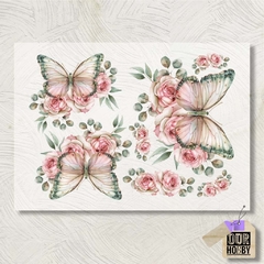 Transfolex color (plancha) 081
