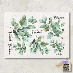 Transfolex color (plancha) 089