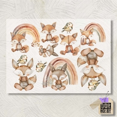 Transfolex color (plancha) 094