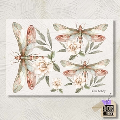 Transfolex color (plancha) 095