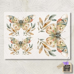 Transfolex color (plancha) 097