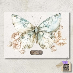 Transfolex color (plancha) 105