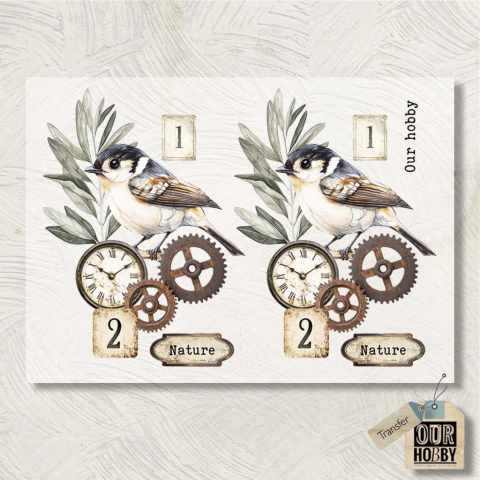 Transfolex color (plancha) 140