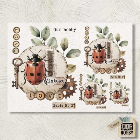 Transfolex color (plancha) 144