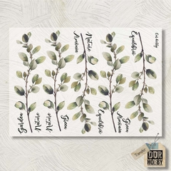 Transfolex color (plancha) 156