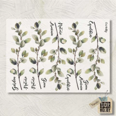 Transfolex color (plancha) 156