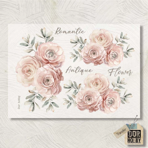 Transfolex color (plancha) 168