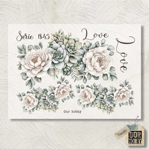 Transfolex color (plancha) 180