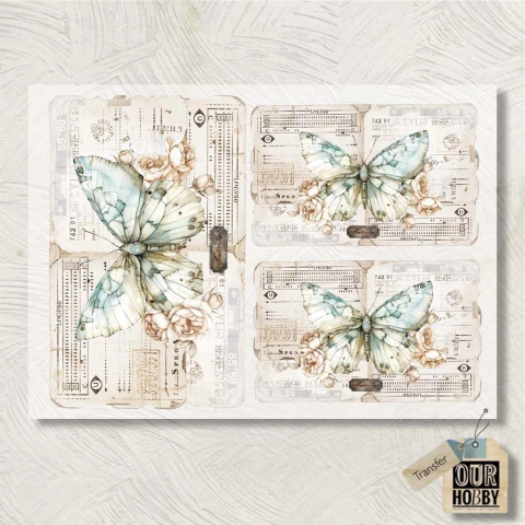 Transfolex color (plancha) 193