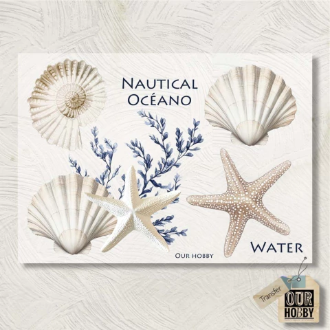 Transfolex color (plancha) 202