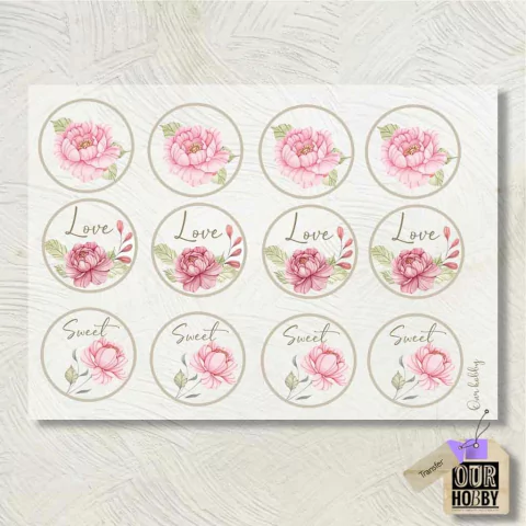 Transfolex color (plancha) 017