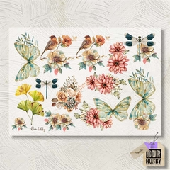 Transfolex color (plancha) 004