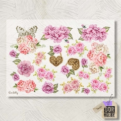 Transfolex color (plancha) 008