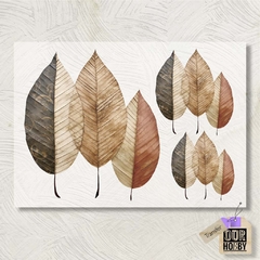 Transfolex color (plancha) 059