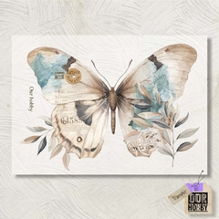 Transfolex color (plancha) 074
