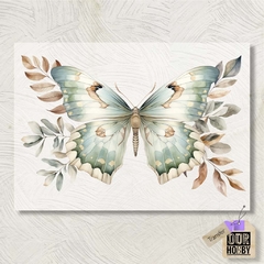 Transfolex color (plancha) 077