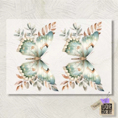 Transfolex color (plancha) 078