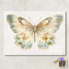 Transfolex color (plancha) 079
