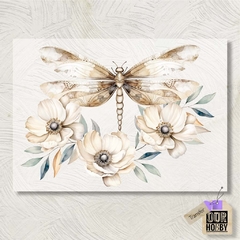 Transfolex color (plancha) 080