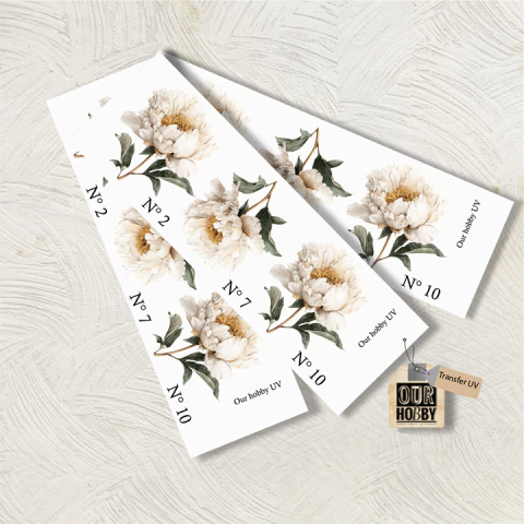 Transfer UV 080 (UNIDAD)