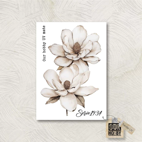 Transfer UV 061 (UNIDAD) - comprar online