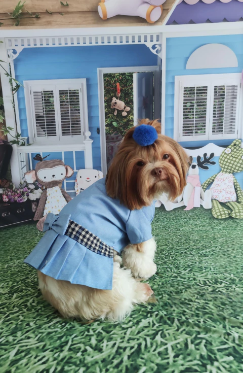 Vestido para pet Kelly em jeans - comprar online