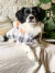 Capinha Sherlock para pet - comprar online