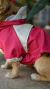 Capa de chuva para pet Sorvete com capuz - ROSA na internet