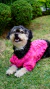 Tricô para Pet Mapocho Rosa - comprar online