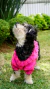 Tricô para Pet Mapocho Rosa na internet