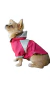 Capa de chuva para pet Sorvete com capuz - ROSA - comprar online
