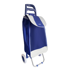 Carrito de Compras Changuito Supermercado 2 ruedas Plegable 13693 - comprar online
