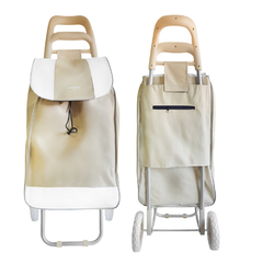 Carrito de Compras Changuito Supermercado 2 ruedas Plegable 13693 - Compranet