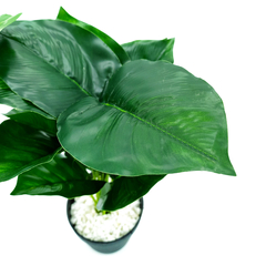 Planta Artificial, con maceta, Mediana 36 cm, Decoración, Hogar, 12661 en internet