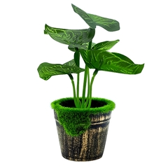 Planta Artificial, con maceta, Chica 19 cm, Decoración, Hogar, 12660 - Compranet