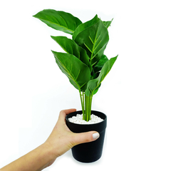 Planta Artificial, con maceta, Mediana 36 cm, Decoración, Hogar, 12661 - comprar online
