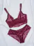 Conjunto Helena Plus Size Calcinha Sutia C/Aro S/Bojo Renda