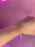 PULSEIRA CORAÇÃO na internet