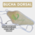 BUCHA VEGETAL Dorsal / costas - CAMPO BELO