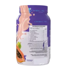 GODS whey tasty 900g Mamão Papaia Com Cassis - GLV NUTRITION