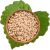 Turkish Pine Nuts 500 gr