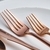 Conjunto de talheres em caixa Jupiter Rosegold 60 peças 12 pessoas na internet