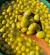 Aceitunas Verdes Turcas - Región Especial del Egeo - comprar online